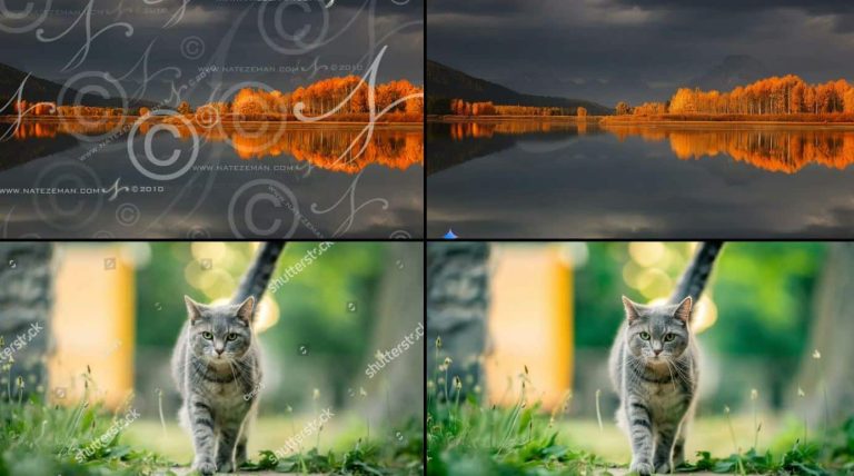 Les gens utilisent des Gémeaux pour retirer le filigrane des photos