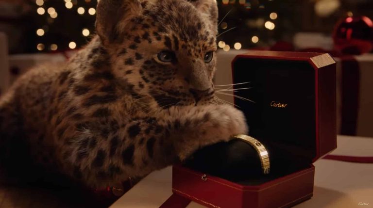 Les bébés panthères illuminent la magie de la publicité de Noël de Cartier